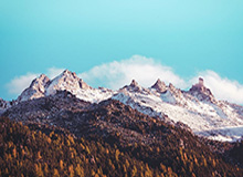 实时比分-斯洛特：定位球不强无以争英超，攻防俱看范戴克